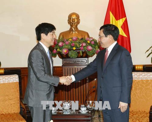 Phát triển toàn diện quan hệ Đối tác chiến lược sâu rộng Việt Nam – Nhật Bản ảnh 1